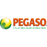 Pegaso